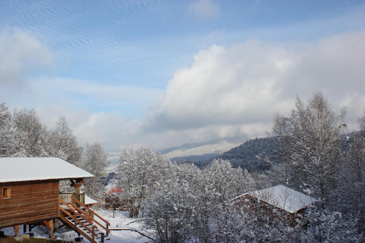 Vila Domaine De Ribeaugoutte Saint-Nabord Exteriér fotografie