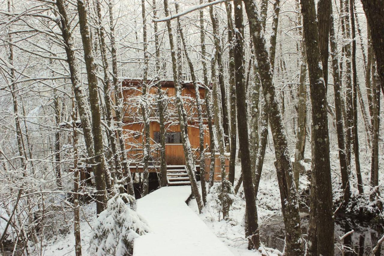 Vila Domaine De Ribeaugoutte Saint-Nabord Exteriér fotografie